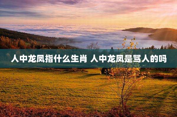 人中龙凤指什么生肖 人中龙凤是骂人的吗