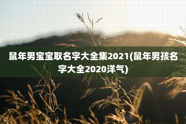 鼠年男宝宝取名字大全集2021(鼠年男孩名字大全2020洋气)