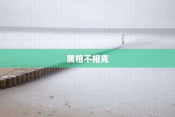 属相不相克
