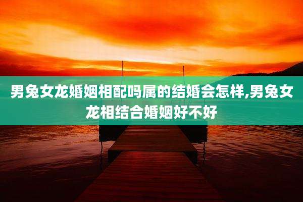 男兔女龙婚姻相配吗属的结婚会怎样,男兔女龙相结合婚姻好不好