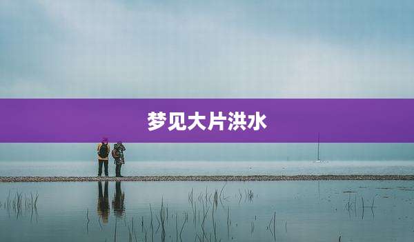 梦见大片洪水