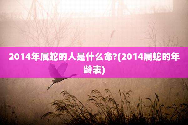 2014年属蛇的人是什么命?(2014属蛇的年龄表)