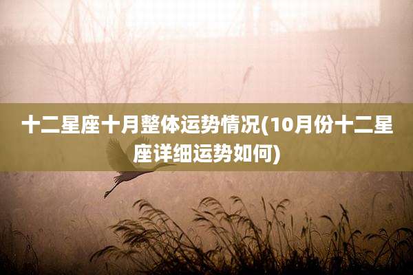 十二星座十月整体运势情况(10月份十二星座详细运势如何)