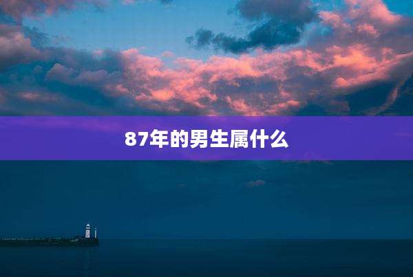 87年的男生属什么
