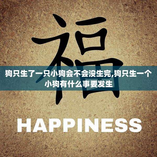 狗只生了一只小狗会不会没生完,狗只生一个小狗有什么事要发生