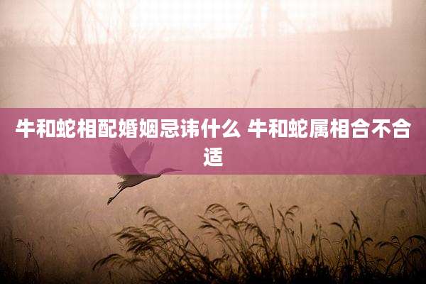 牛和蛇相配婚姻忌讳什么 牛和蛇属相合不合适