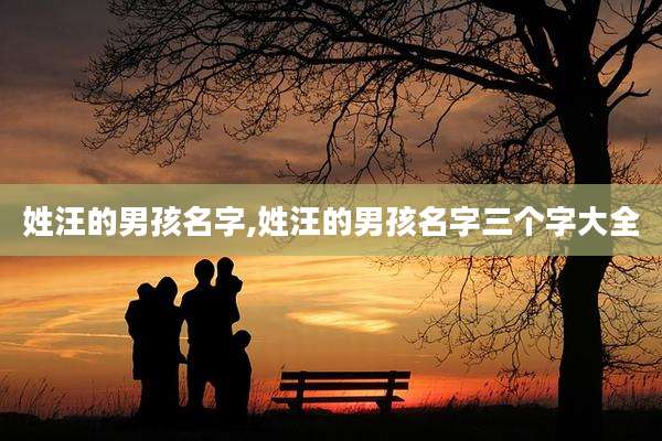 姓汪的男孩名字,姓汪的男孩名字三个字大全