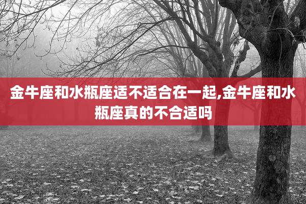 金牛座和水瓶座适不适合在一起,金牛座和水瓶座真的不合适吗