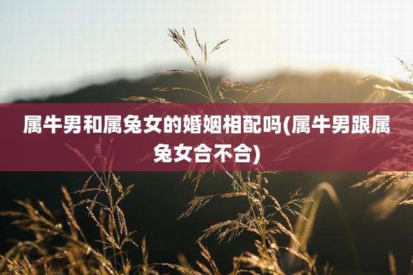 属牛男和属兔女的婚姻相配吗(属牛男跟属兔女合不合)