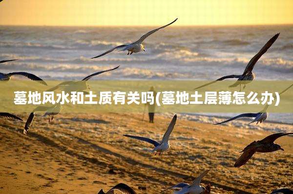 墓地风水和土质有关吗(墓地土层薄怎么办)