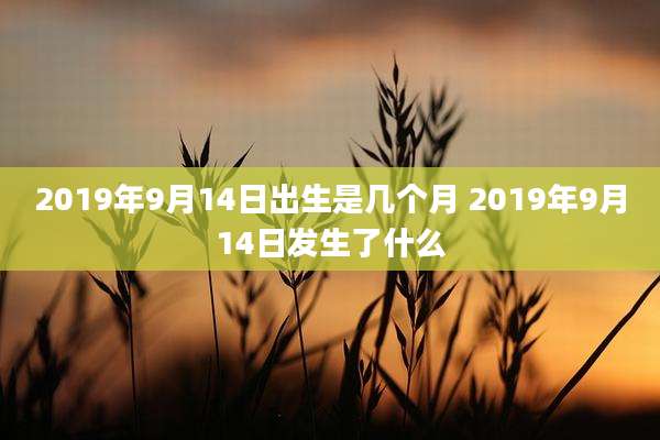 2019年9月14日出生是几个月 2019年9月14日发生了什么