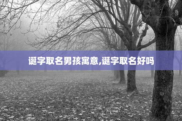 诞字取名男孩寓意,诞字取名好吗