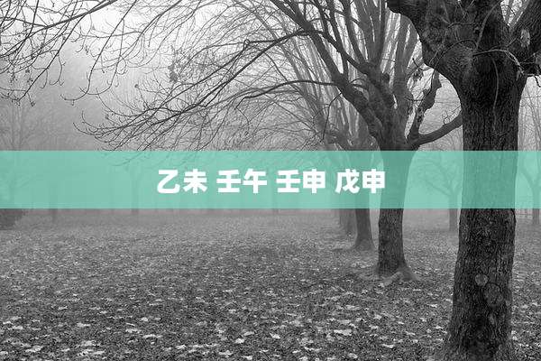 乙未 壬午 壬申 戊申