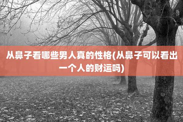从鼻子看哪些男人真的性格(从鼻子可以看出一个人的财运吗)