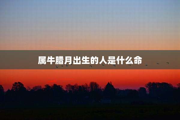 属牛腊月出生的人是什么命