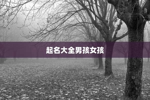 起名大全男孩女孩