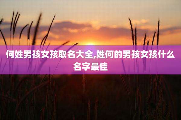 何姓男孩女孩取名大全,姓何的男孩女孩什么名字最佳