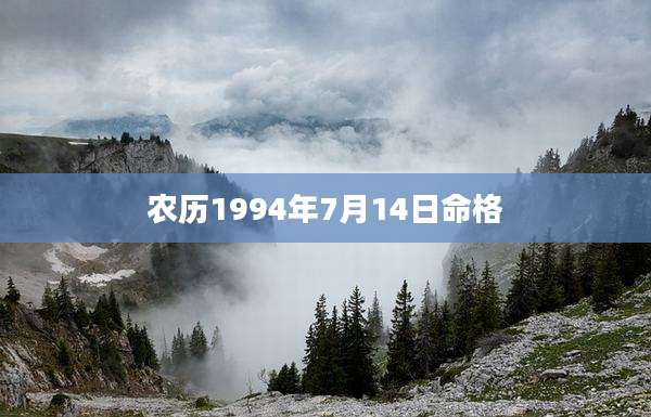 农历1994年7月14日命格