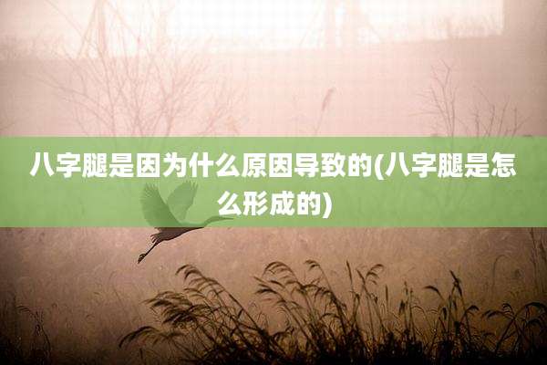 八字腿是因为什么原因导致的(八字腿是怎么形成的)