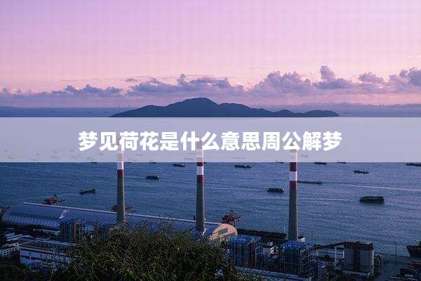 梦见荷花是什么意思周公解梦