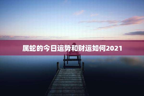 属蛇的今日运势和财运如何2021