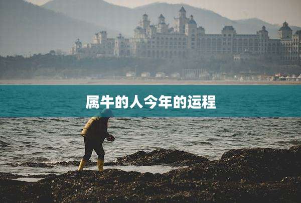 属牛的人今年的运程