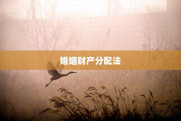 婚姻财产分配法
