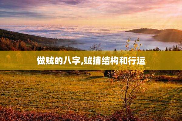 做贼的八字,贼捕结构和行运