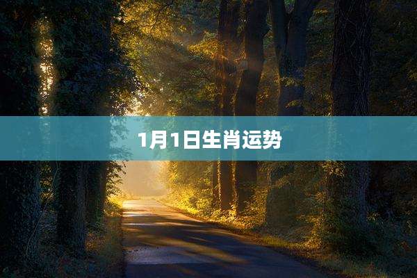 1月1日生肖运势