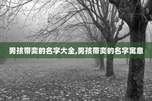 男孩带奕的名字大全,男孩带奕的名字寓意