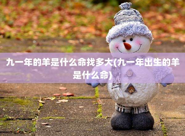 九一年的羊是什么命找多大(九一年出生的羊是什么命)