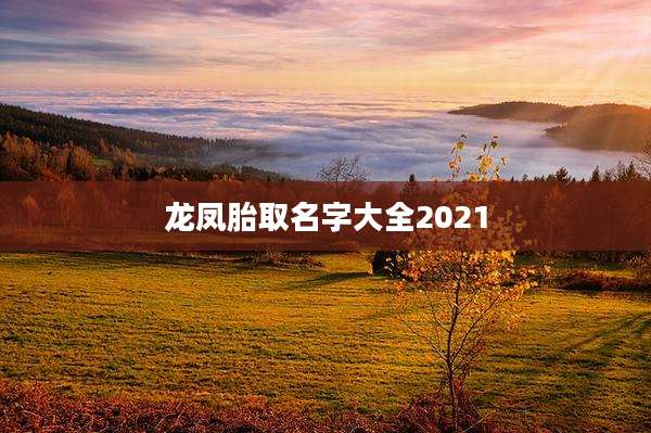 龙凤胎取名字大全2021