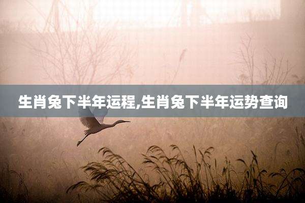 生肖兔下半年运程,生肖兔下半年运势查询