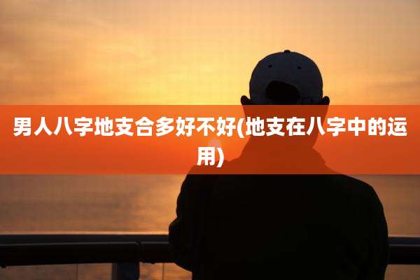 男人八字地支合多好不好(地支在八字中的运用)