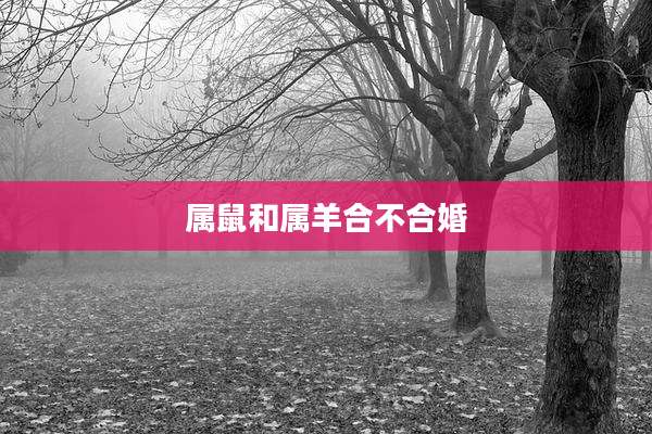 属鼠和属羊合不合婚