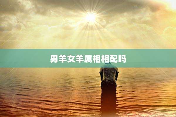 男羊女羊属相相配吗