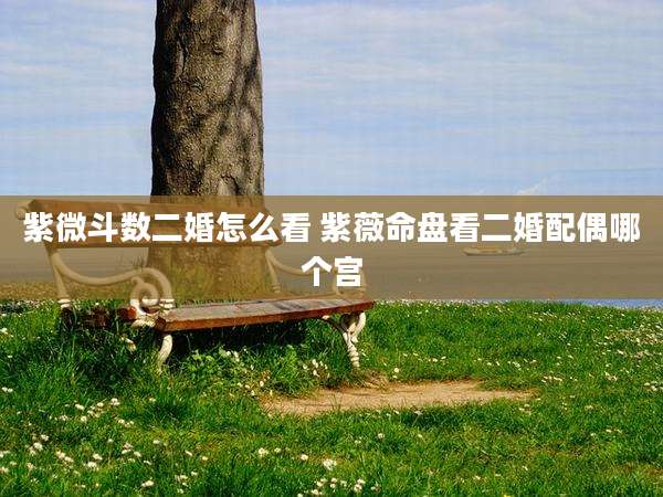 紫微斗数二婚怎么看 紫薇命盘看二婚配偶哪个宫
