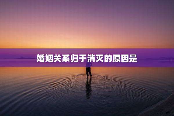 婚姻关系归于消灭的原因是
