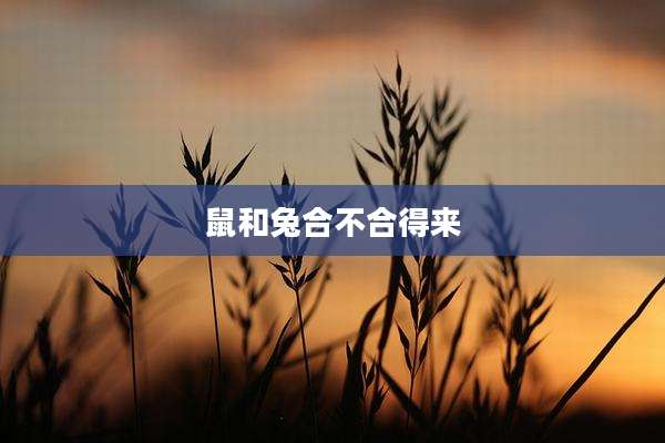 鼠和兔合不合得来