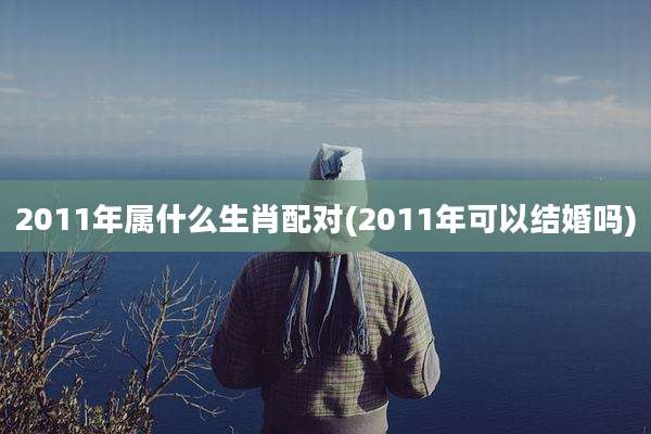 2011年属什么生肖配对(2011年可以结婚吗)