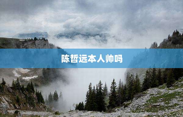 陈哲远本人帅吗