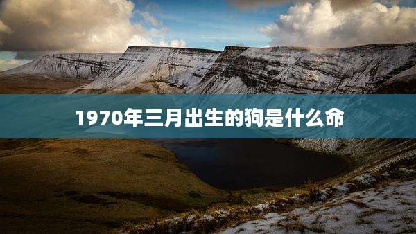 1970年三月出生的狗是什么命