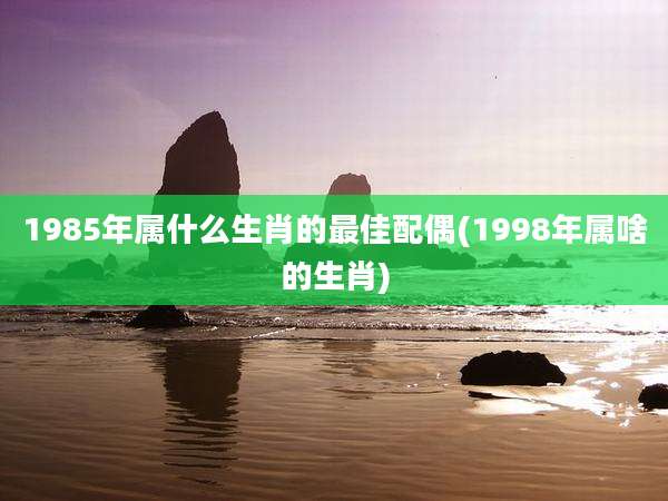 1985年属什么生肖的最佳配偶(1998年属啥的生肖)