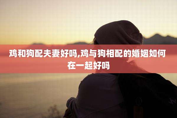 鸡和狗配夫妻好吗,鸡与狗相配的婚姻如何 在一起好吗