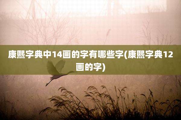 康熙字典中14画的字有哪些字(康熙字典12画的字)