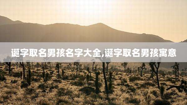 诞字取名男孩名字大全,诞字取名男孩寓意