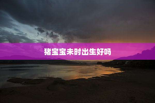 猪宝宝未时出生好吗