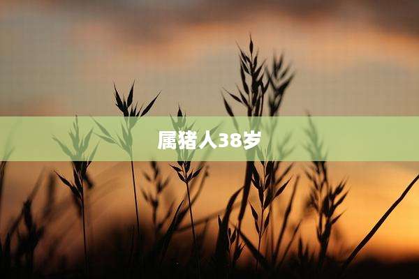 属猪人38岁