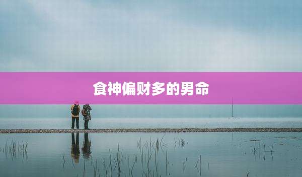 食神偏财多的男命