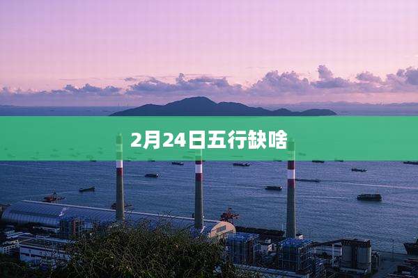 2月24日五行缺啥